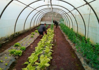 INSERGAL_EMPRESA-DE-INSERCION-LABORAL_23