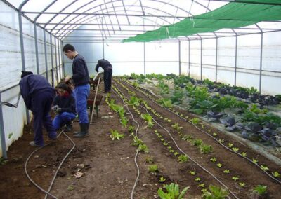 INSERGAL_EMPRESA-DE-INSERCION-LABORAL_43