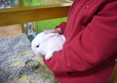 INSERGAL_EMPRESA-DE-INSERCION-LABORAL_47