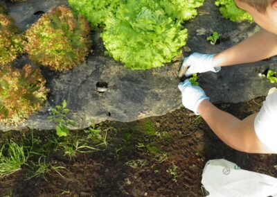 INSERGAL_EMPRESA-DE-INSERCION-LABORAL_53