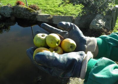 INSERGAL_EMPRESA-DE-INSERCION-LABORAL_57