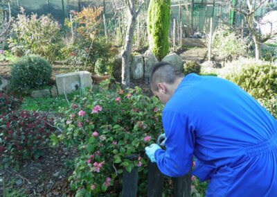 INSERGAL_EMPRESA-DE-INSERCION-LABORAL_59