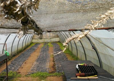 INSERGAL_EMPRESA-DE-INSERCION-LABORAL_6