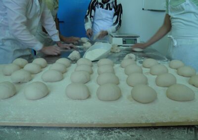 INSERGAL_EMPRESA-DE-INSERCION-LABORAL_60