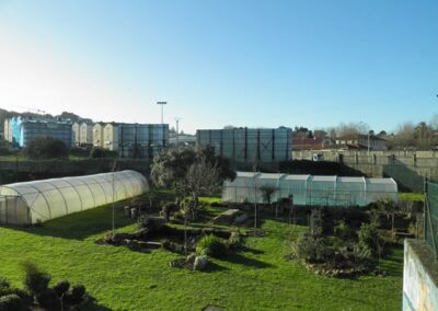 INSERGAL_EMPRESA-DE-INSERCION-LABORAL_63