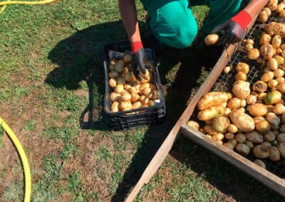 INSERGAL_EMPRESA-DE-INSERCION-LABORAL_65