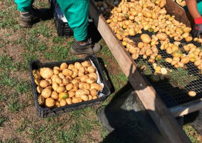 INSERGAL_EMPRESA-DE-INSERCION-LABORAL_66