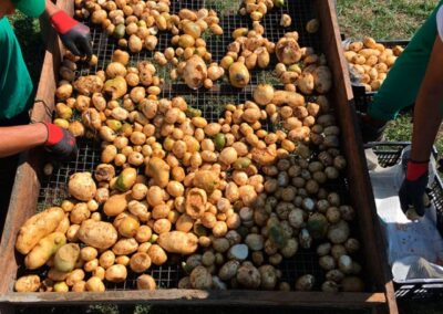 INSERGAL_EMPRESA-DE-INSERCION-LABORAL_67