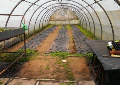 INSERGAL_EMPRESA-DE-INSERCION-LABORAL_7