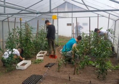 INSERGAL_EMPRESA-DE-INSERCION-LABORAL_71