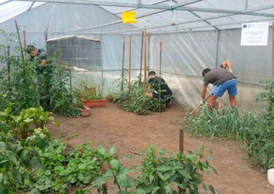 INSERGAL_EMPRESA-DE-INSERCION-LABORAL_72