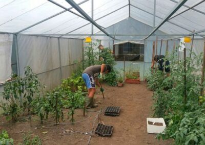 INSERGAL_EMPRESA-DE-INSERCION-LABORAL_73